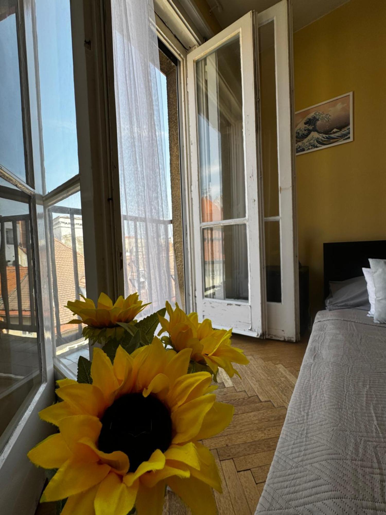 Extralarge Queen Room In The Heart Of Bratislava With Terrace Eksteriør billede